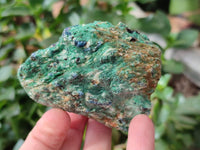 Natural Kyanite Crystals in Fuchsite Specimens x 6 From Zimbabwe