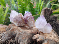 Natural Mix Of Spirit Quartz Crystals And Clusters x 20 From Boekenhouthoek, South Africa