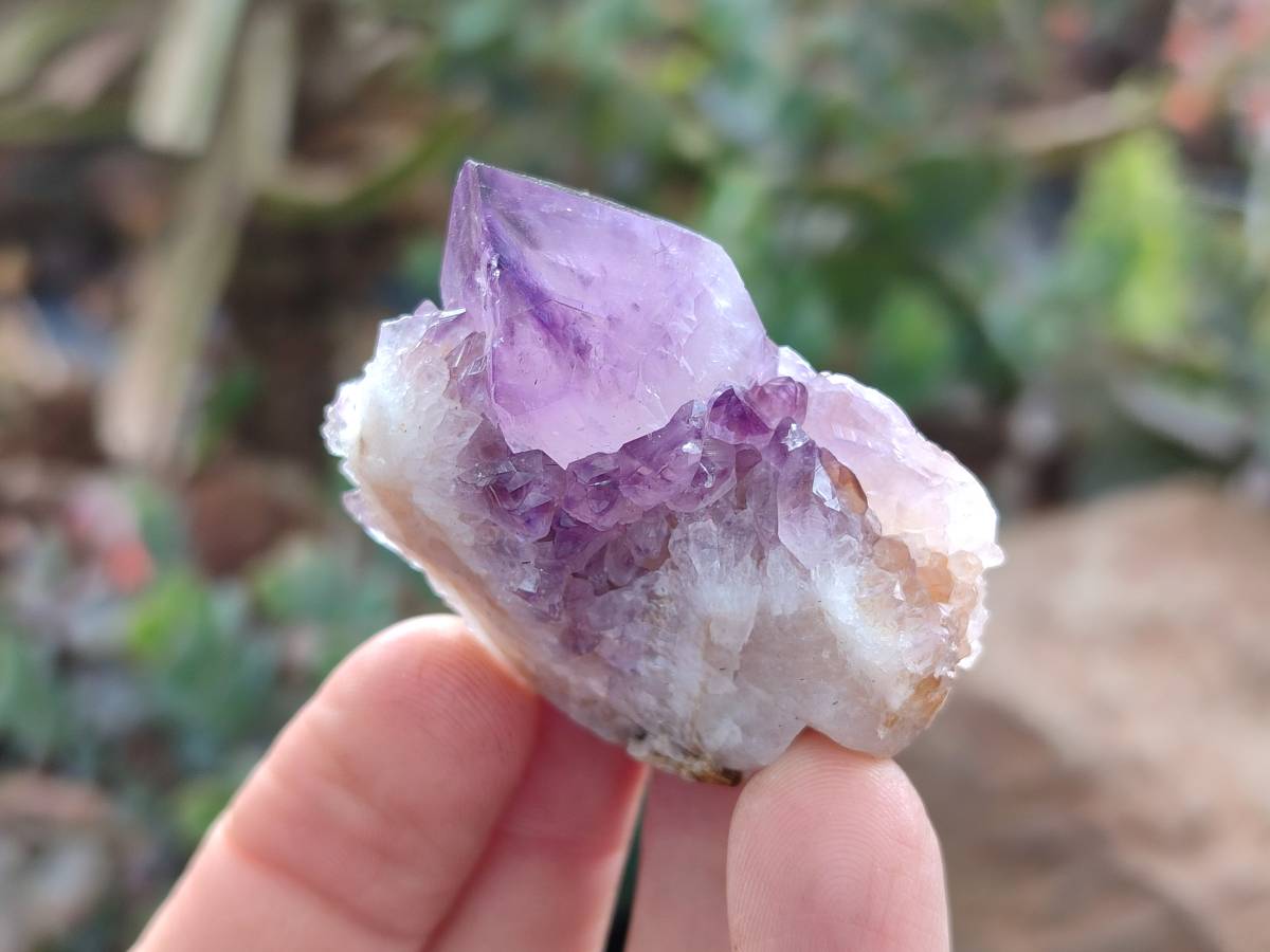 Natural Mix Of Spirit Quartz Crystals And Clusters x 20 From Boekenhouthoek, South Africa - Toprock Gemstones and Minerals 