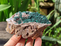Natural Ball Malachite and Drusy Quartz On Dolomite Matrix Specimens x 6 From Mindingi Mine, Kambove, Congo