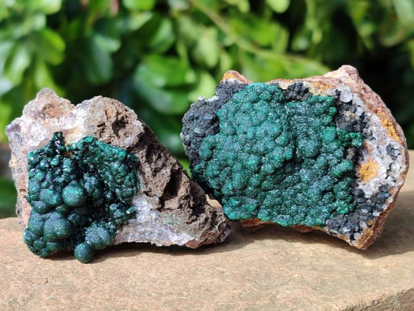 Natural Ball Malachite and Drusy Quartz On Dolomite Matrix Specimens x 6 From Mindingi Mine, Kambove, Congo