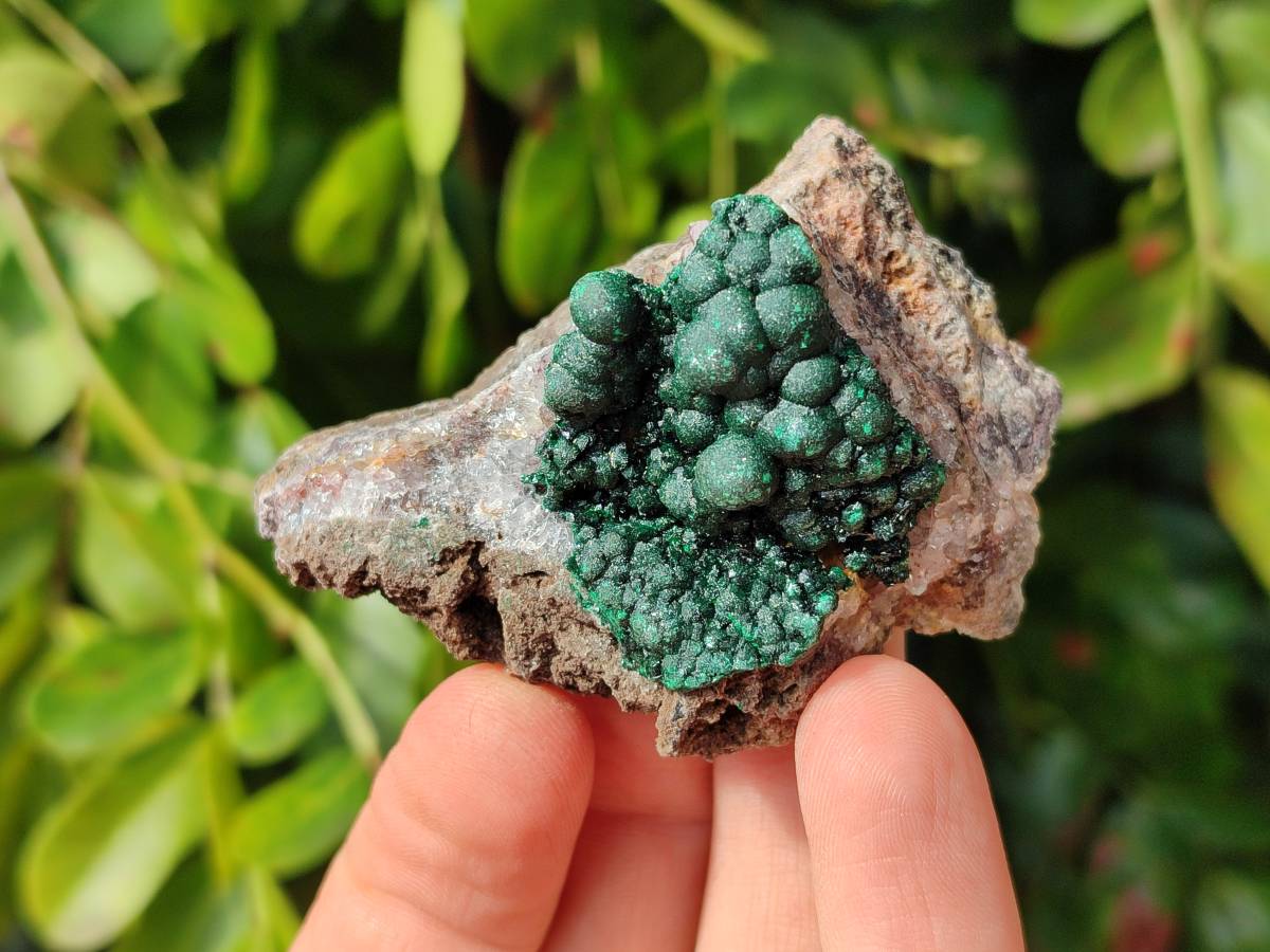Natural Ball Malachite and Drusy Quartz On Dolomite Matrix Specimens x 6 From Mindingi Mine, Kambove, Congo - Toprock Gemstones and Minerals 