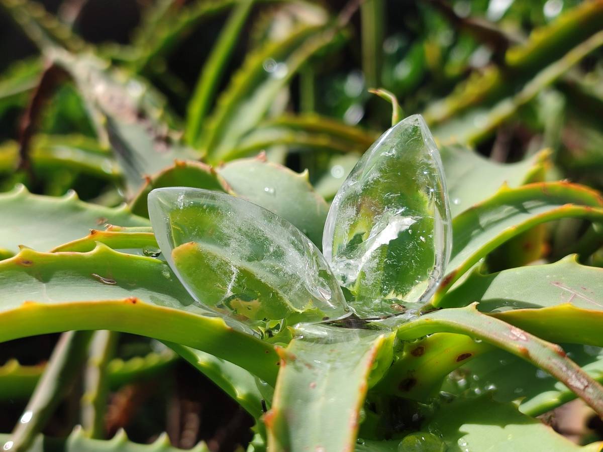 Polished Clear Quartz Crystal, Angel Tears x 35 From Madagascar - Toprock Gemstones and Minerals 