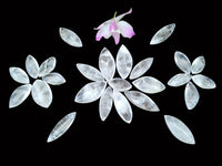 Polished Clear Quartz Crystal, Angel Tears x 35 From Madagascar