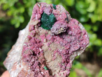 Natural Salrose with Malachite and Kaolinite Specimens x 2 From Kakanda, Congo