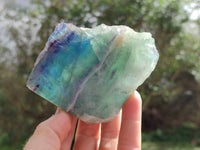 Polished On One Side Watermelon Fluorite Slices x 6 From Uis, Namibia