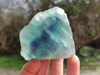 Polished On One Side Watermelon Fluorite Slices x 6 From Uis, Namibia
