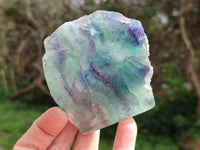 Polished On One Side Watermelon Fluorite Slices x 6 From Uis, Namibia