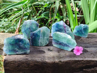 Polished On One Side Watermelon Fluorite Slices x 6 From Uis, Namibia