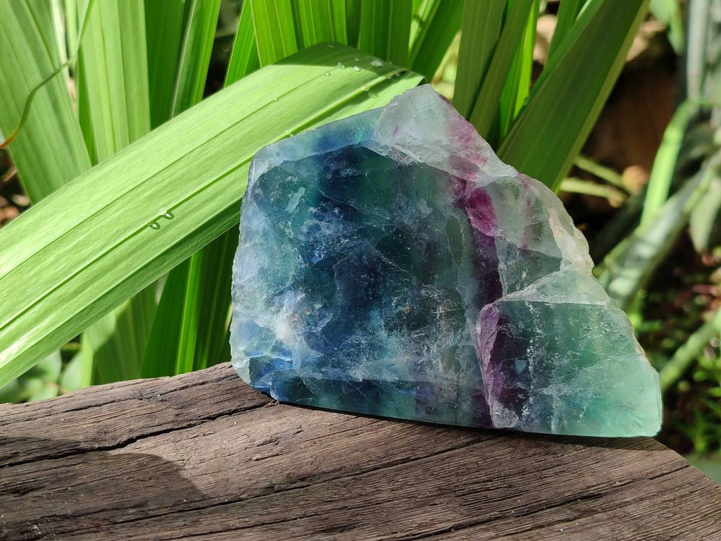 Polished On One Side Watermelon Fluorite Slices x 6 From Uis, Namibia - Toprock Gemstones and Minerals 