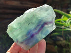 Polished On One Side Watermelon Fluorite Slices x 6 From Uis, Namibia - Toprock Gemstones and Minerals 