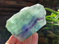 Polished On One Side Watermelon Fluorite Slices x 6 From Uis, Namibia