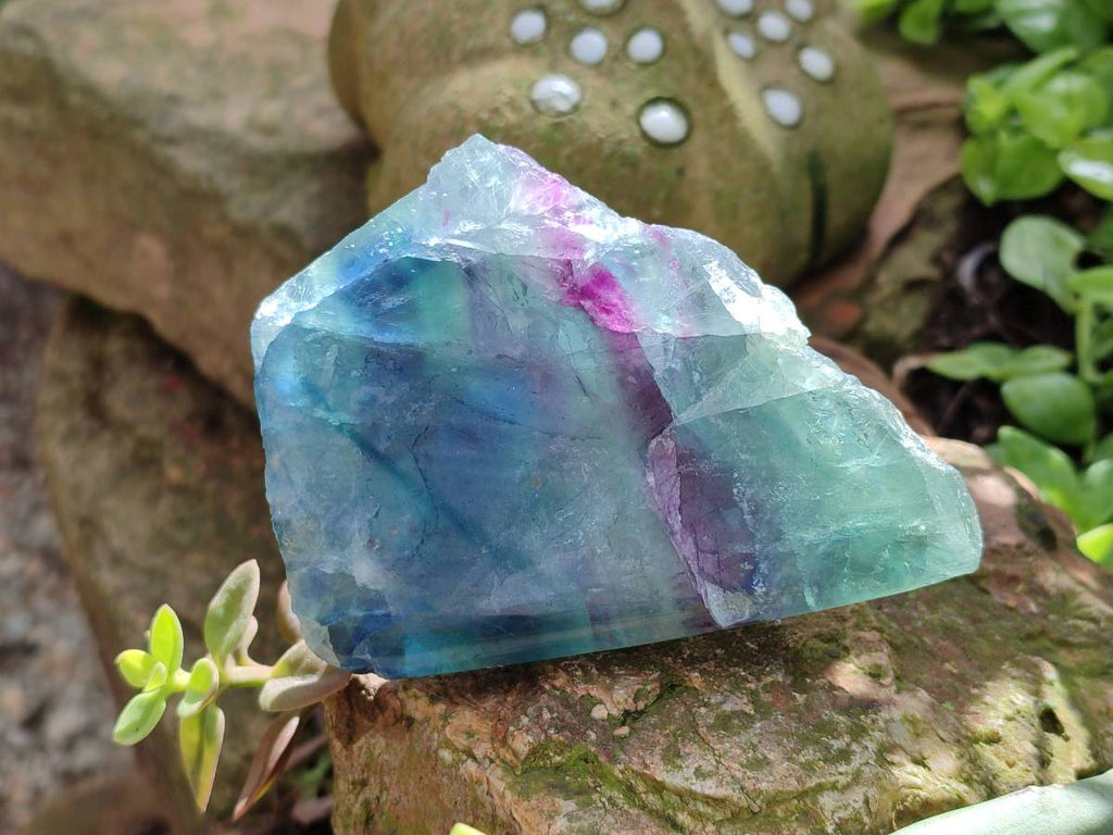 Polished On One Side Watermelon Fluorite Slices x 6 From Uis, Namibia - Toprock Gemstones and Minerals 