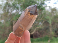 Polished Smokey Quartz Crystals x 4 From Zomba, Malawi