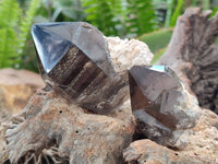 Polished Smokey Quartz Crystals x 4 From Zomba, Malawi