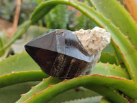 Polished Smokey Quartz Crystals x 4 From Zomba, Malawi