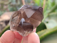 Polished Smokey Quartz Crystals x 4 From Zomba, Malawi