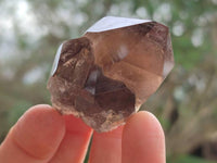 Polished Smokey Quartz Crystals x 4 From Zomba, Malawi