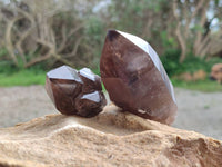Polished Smokey Quartz Crystals x 4 From Zomba, Malawi