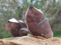 Polished Smokey Quartz Crystals x 4 From Zomba, Malawi