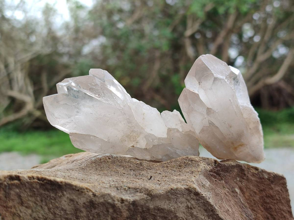 Natural Smokey Candle Quartz Crystals x 24 From Zimbabwe - Toprock Gemstones and Minerals 