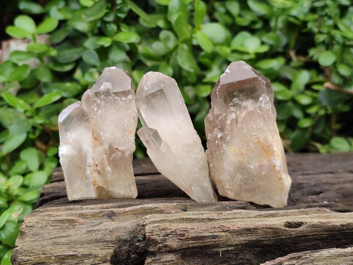 Natural Smokey Candle Quartz Crystals x 24 From Zimbabwe - Toprock Gemstones and Minerals 