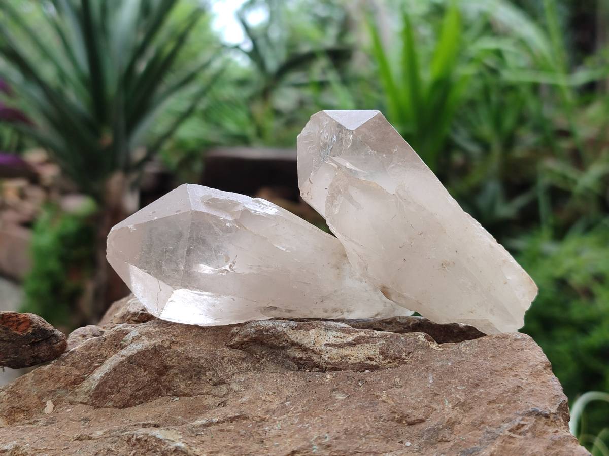 Natural Smokey Candle Quartz Crystals x 24 From Zimbabwe - Toprock Gemstones and Minerals 
