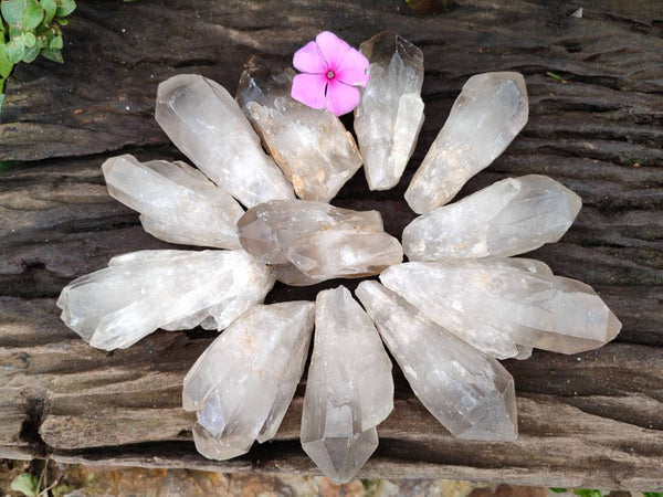 Natural Smokey Candle Quartz Crystals x 24 From Zimbabwe