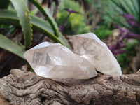 Natural Smokey Candle Quartz Crystals x 24 From Zimbabwe