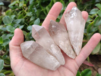 Natural Smokey Candle Quartz Crystals x 24 From Zimbabwe