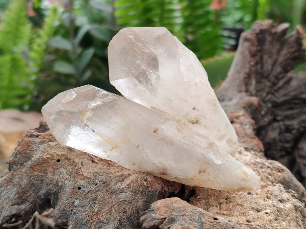 Natural Smokey Candle Quartz Crystals x 24 From Zimbabwe - Toprock Gemstones and Minerals 