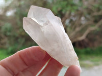 Natural Smokey Candle Quartz Crystals x 24 From Zimbabwe