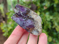 Natural Metallic Purpurite Specimens x 12 From Erongo, Namibia