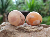 Polished Flower Agate Palm Stones x 35 From Antsahalova, Madagascar