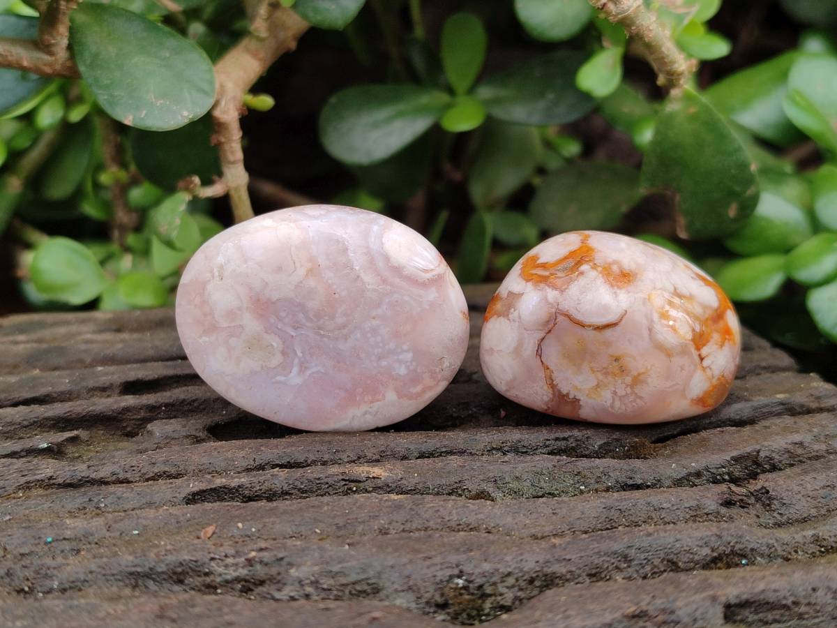 Polished Flower Agate Palm Stones x 35 From Antsahalova, Madagascar - Toprock Gemstones and Minerals 