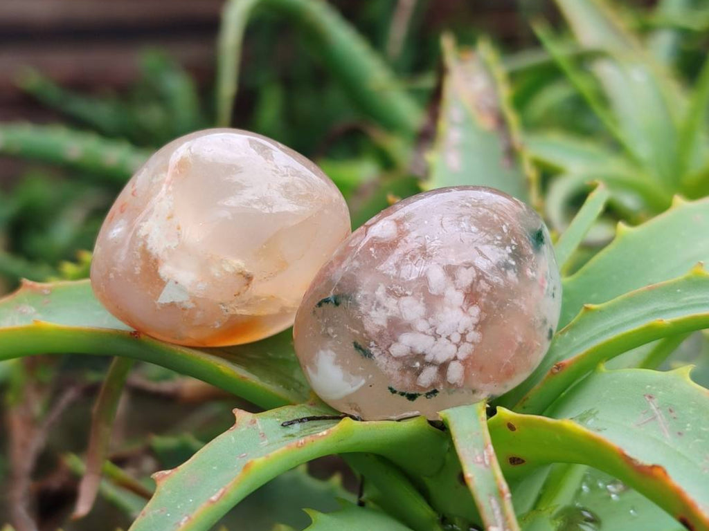 Polished Flower Agate Palm Stones x 35 From Antsahalova, Madagascar - Toprock Gemstones and Minerals 