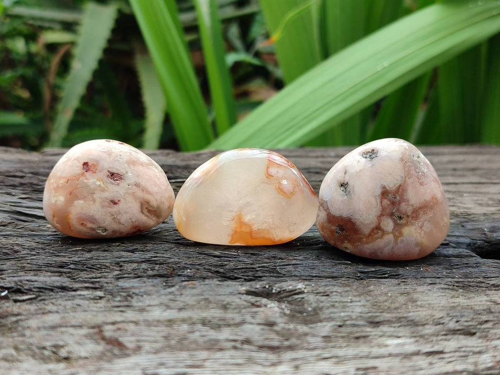 Polished Flower Agate Palm Stones x 35 From Antsahalova, Madagascar - Toprock Gemstones and Minerals 