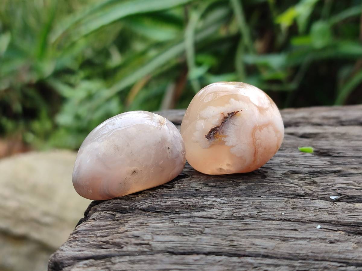 Polished Flower Agate Palm Stones x 35 From Antsahalova, Madagascar - Toprock Gemstones and Minerals 