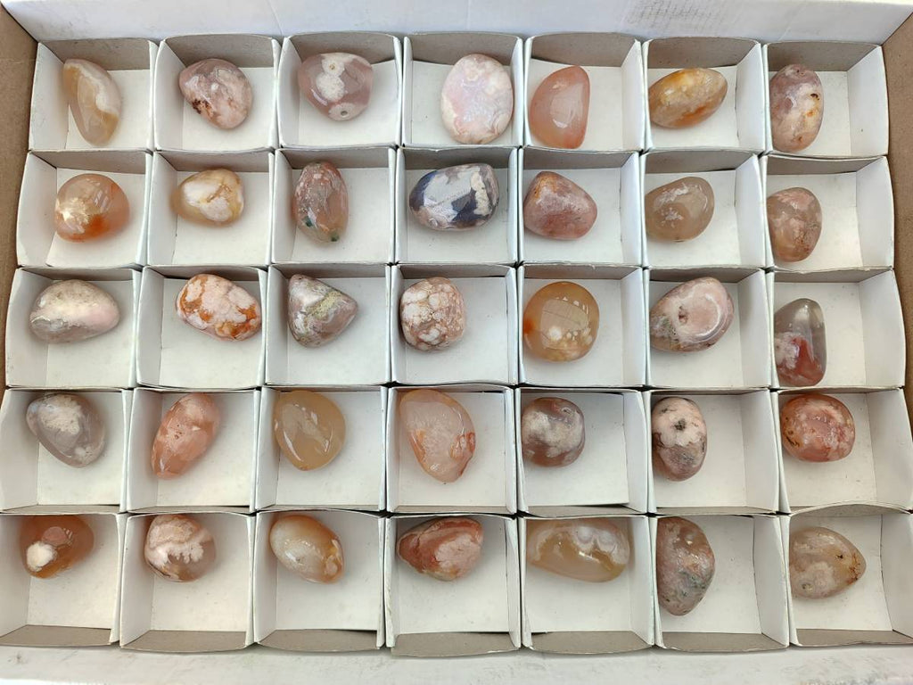 Polished Flower Agate Palm Stones x 35 From Antsahalova, Madagascar - Toprock Gemstones and Minerals 