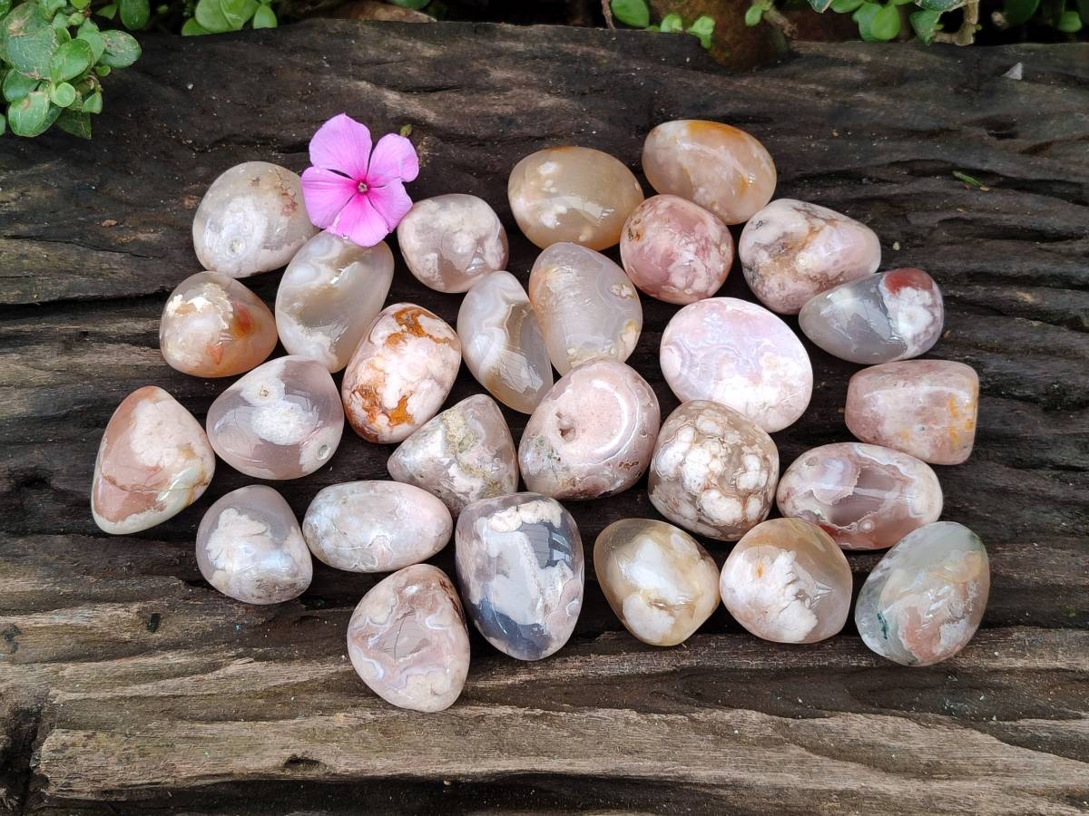 Polished Flower Agate Palm Stones x 35 From Antsahalova, Madagascar - Toprock Gemstones and Minerals 