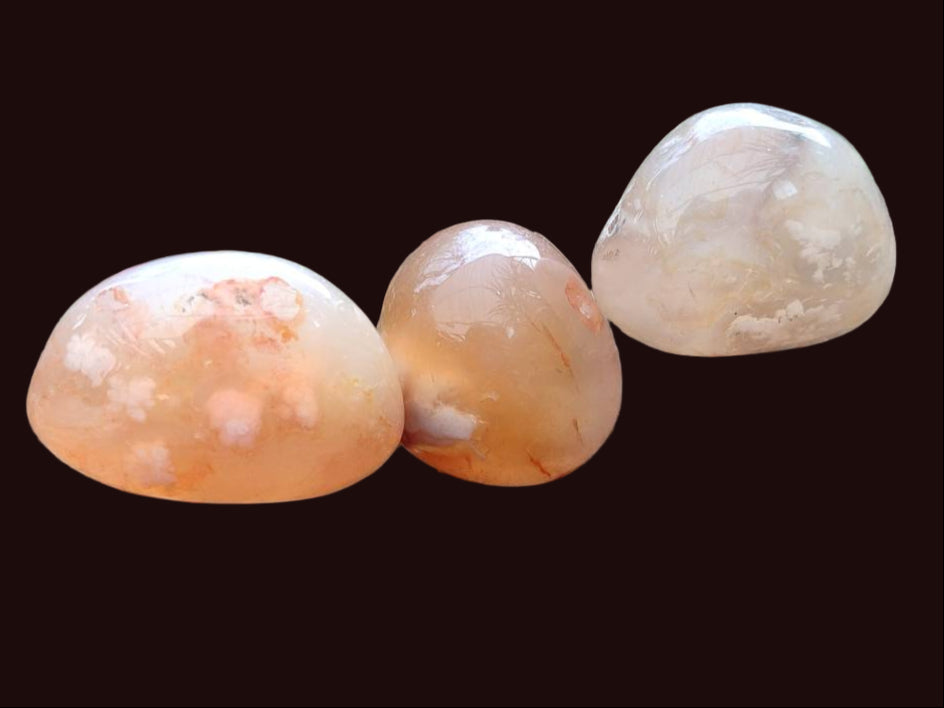 Polished Flower Agate Palm Stones x 35 From Antsahalova, Madagascar - Toprock Gemstones and Minerals 