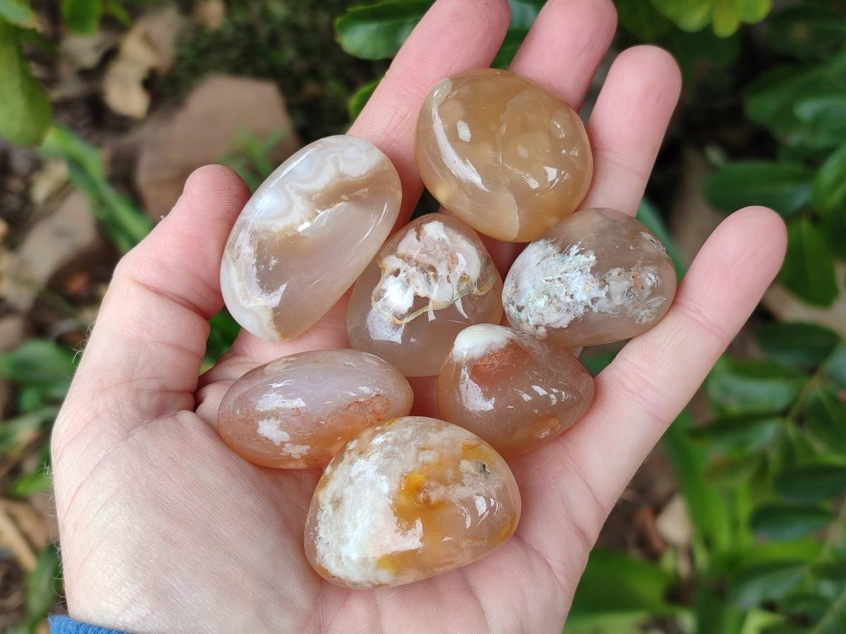 Polished Flower Agate Palm Stones x 35 From Antsahalova, Madagascar - Toprock Gemstones and Minerals 