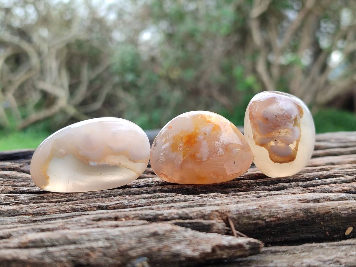 Polished Flower Agate Palm Stones x 35 From Antsahalova, Madagascar - Toprock Gemstones and Minerals 
