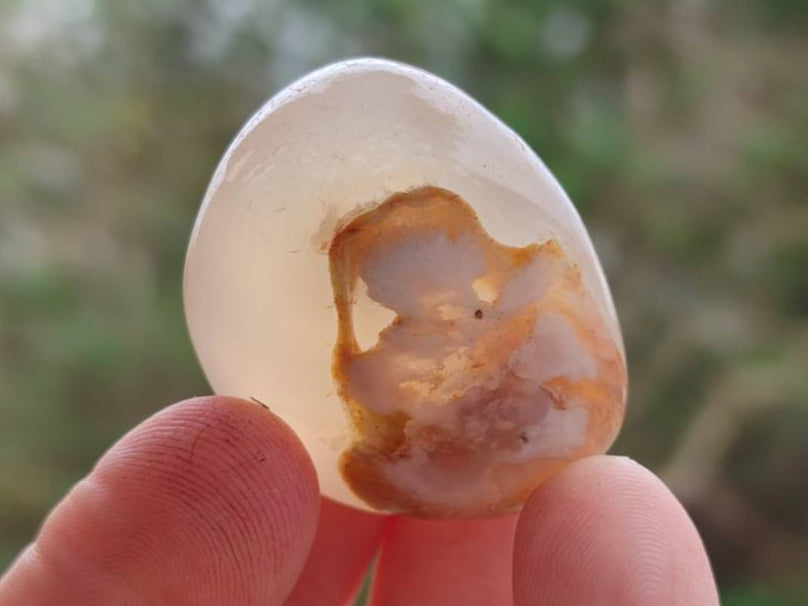 Polished Flower Agate Palm Stones x 35 From Antsahalova, Madagascar - Toprock Gemstones and Minerals 