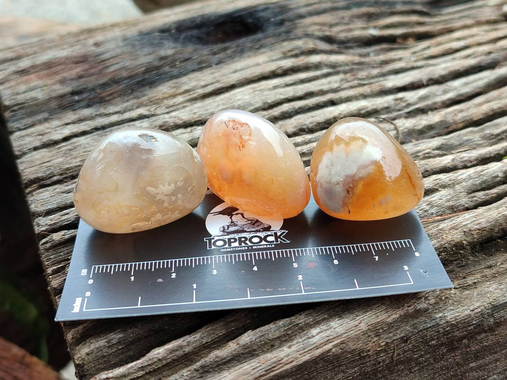 Polished Flower Agate Palm Stones x 35 From Antsahalova, Madagascar - Toprock Gemstones and Minerals 