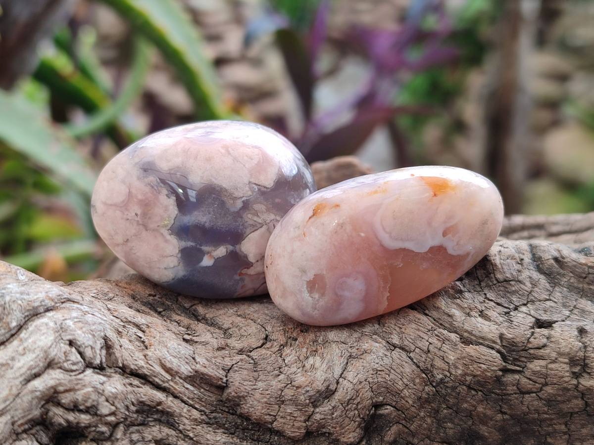 Polished Flower Agate Palm Stones x 35 From Antsahalova, Madagascar - Toprock Gemstones and Minerals 