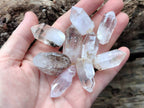 Natural Amethyst, Smokey And Clear Window Quartz Crystals x 35 From Brandberg, Namibia - Toprock Gemstones and Minerals 