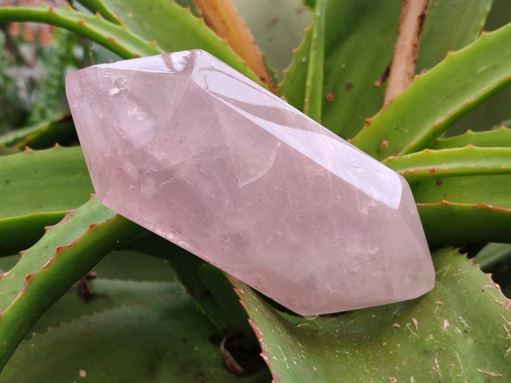 Polished Double Terminated Rose Quartz Crystals x 6 From Madagascar - Toprock Gemstones and Minerals 