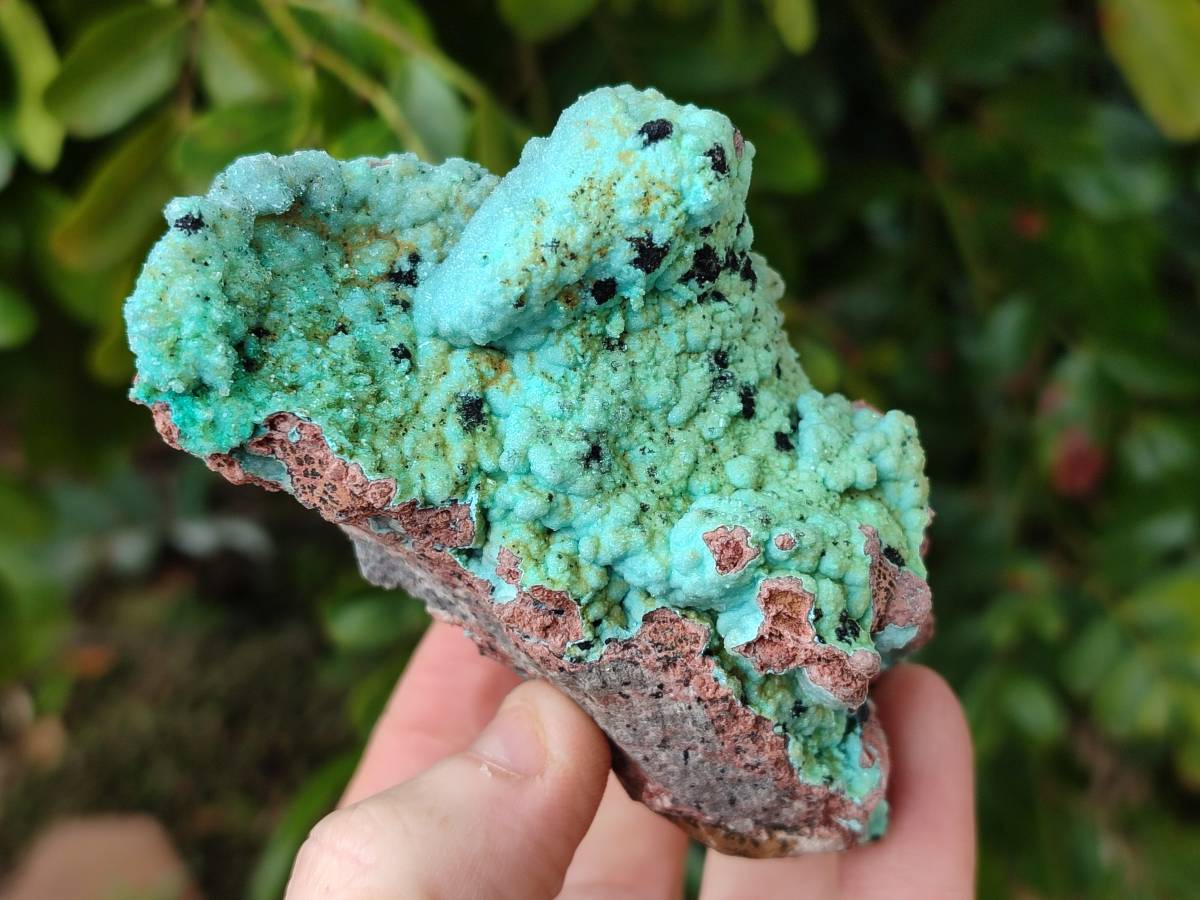 Natural Drusy Coated Chrysocolla With Various Inclusions x 3 From Lupoto Mine, Congo - Toprock Gemstones and Minerals 