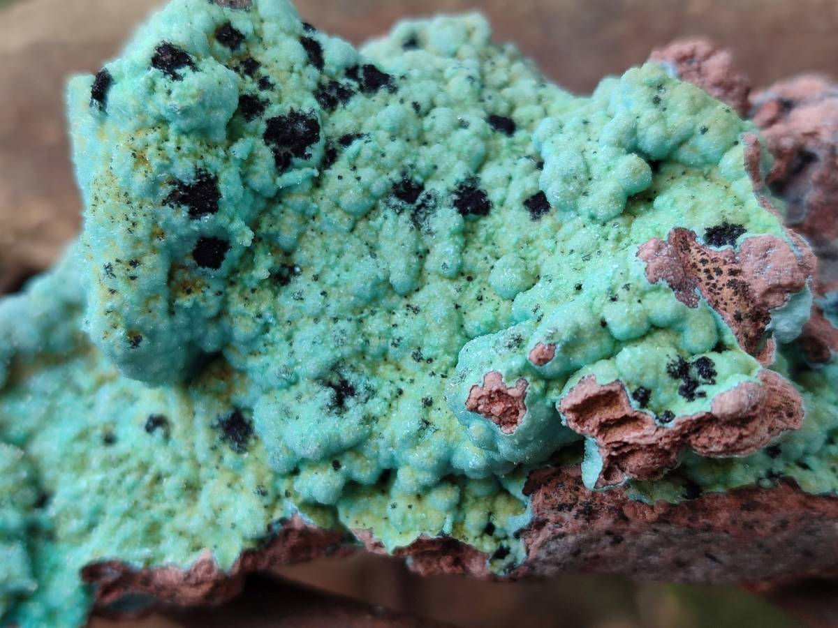 Natural Drusy Coated Chrysocolla With Various Inclusions x 3 From Lupoto Mine, Congo - Toprock Gemstones and Minerals 